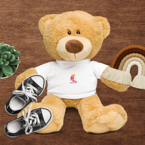Teddy bear with a t-shirt